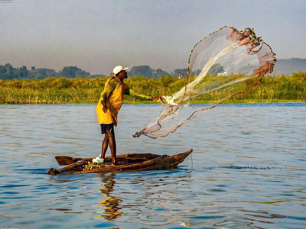 មគ្គុទេសក៍អំពីឧបករណ៍បាញ់ត្រី