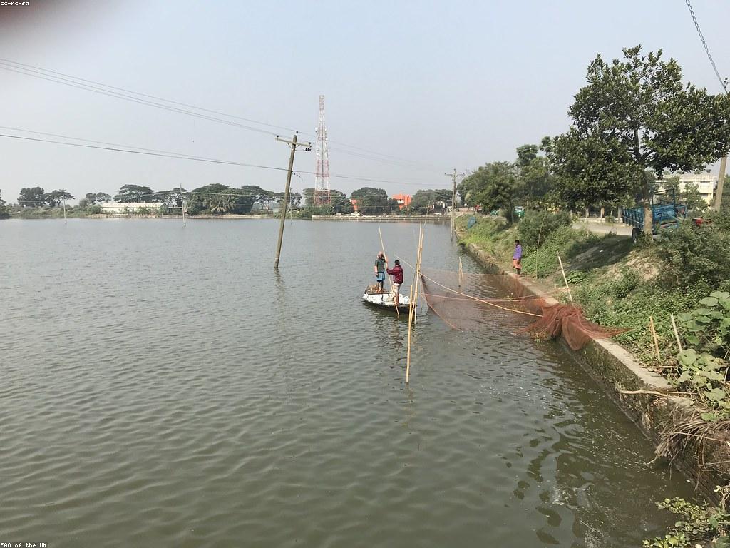 គន្លឹះបាញ់ត្រី៖ វិធីសាស្ត្រច្នៃប្រឌិតសម្រាប់ការបាញ់ត្រី