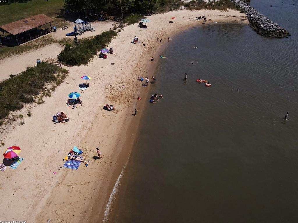 ចំណូលពីការបាញ់ត្រី: យុទ្ធសាស្ត្រនិងអត្ថប្រយោជន៍