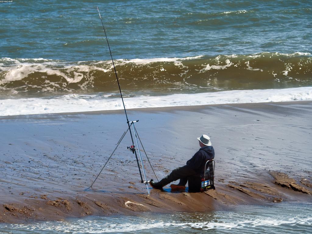 គន្លឹះបាញ់ត្រី៖ វិធីអភិវឌ្ឍន៍ជំនាញថ្មី