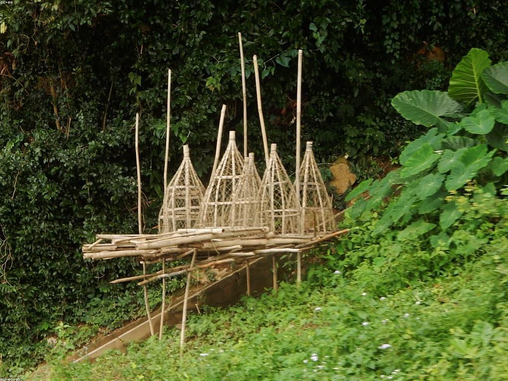 វិធីសាស្រ្តដើម្បីប្រើប្រាស់ឧបករណ៍បាញ់ត្រី